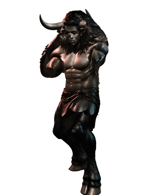 The Black Bull